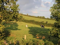 Farmers Union hope to resolve Exeter Council's proposed meat ban
