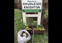 Parish council litter pick sees over ten bags filled 