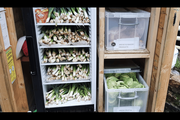 The Ashburton Community Fridge stacked full of organic vegetables
