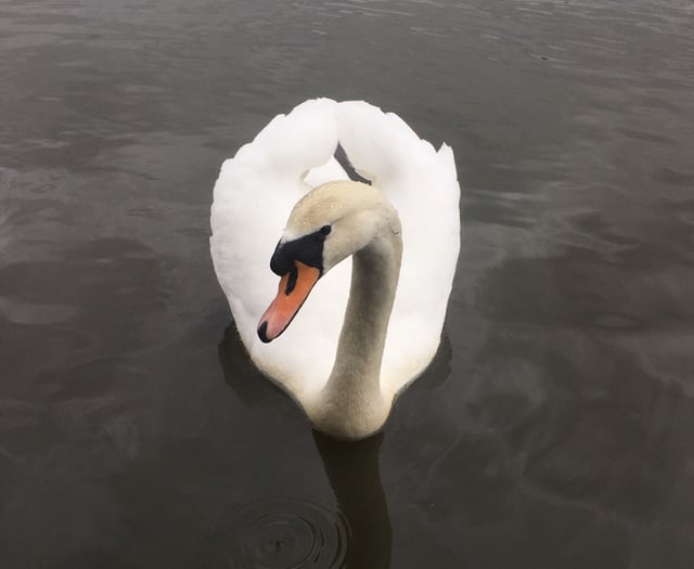 Signs of spring spotted at country park