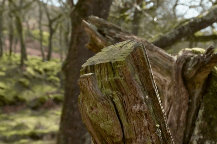 BBC Countryfile