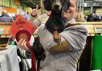‘Firecracker’ Monty wins big at Crufts