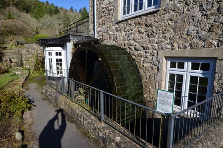 steward mill