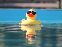 The ducks cometh as charity's race day approaches
