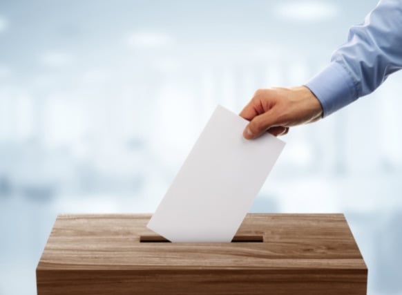 Who will get your vote in College Ward on Teignbridge Council?