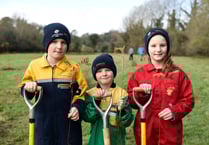 Help the Woodland Trust plant five million trees