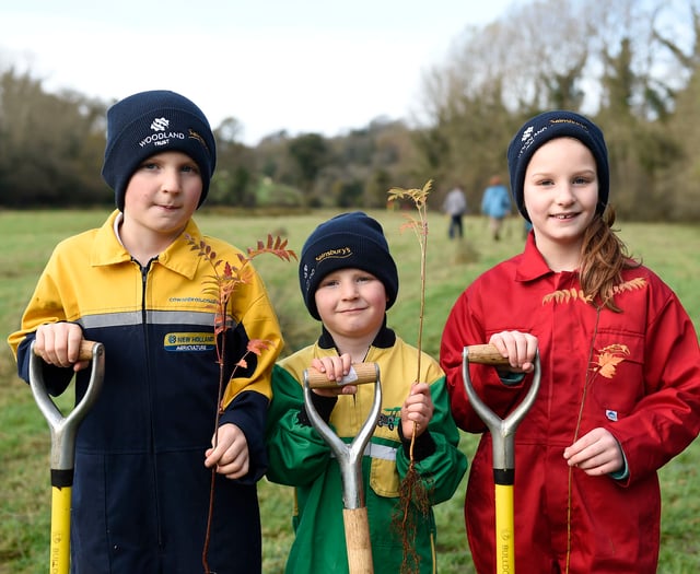 Help the Woodland Trust plant five million trees