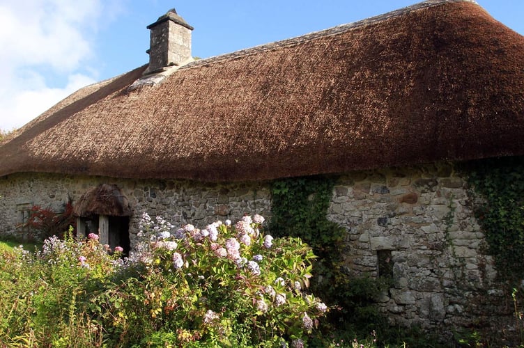 Longhouse Medieval