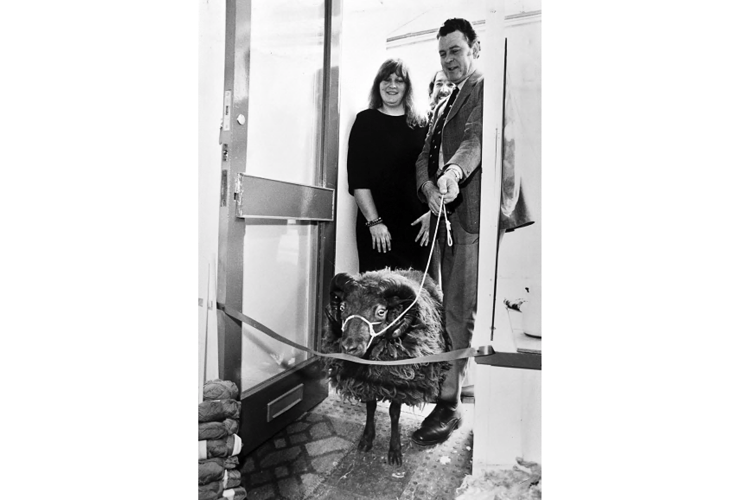 Sheep opens shop. In May 1986 Thor the Shetland ram popped along from The Rare Breed Farm with Tim Ash to help Liz Chandler open the business The Sheep Dip in Bovey Tracey.