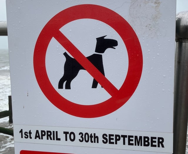 Dog lovers complain about April 1 dog ban at Teignmouth beaches