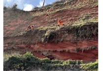 Network Rail team scale Dawlish cliff face to clear vegetation