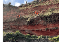 Network Rail team scale Dawlish cliff face to clear vegetation