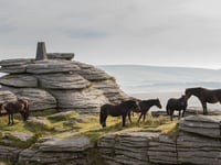 Dartmoor farming inquiry agreed