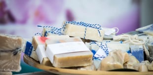 Chance to support hedgehog charity at Easter market