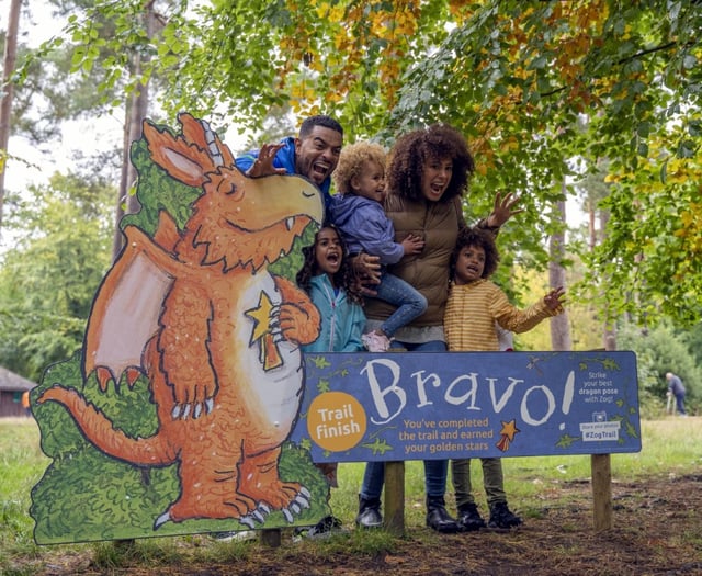 More Easter holiday fun – follow Zog on the Haldon Forest Trail