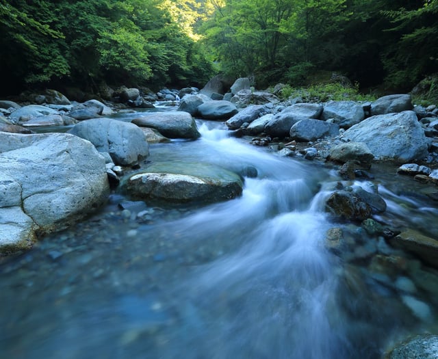 Dog still missing after falling into River Bovey
