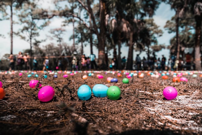 Easter egg hunt stock image