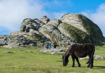 MPs secure inquiry into management of Dartmoor