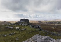 See what's going on in Dartmoor this month
