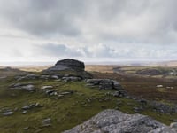 Nurture your health and wellbeing in the Dartmoor area
