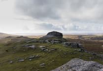 Nurture your health and wellbeing in the Dartmoor area