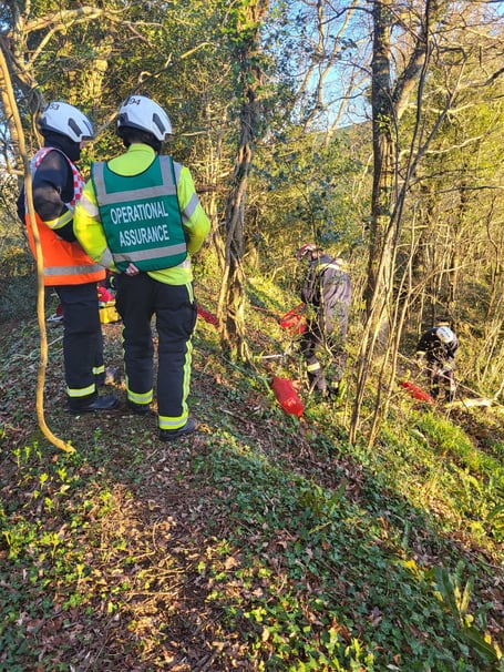 Fire crew from Chagford scale steep bank to help rescue dog