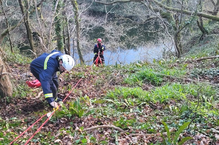 Fire crew from Chagford scale steep bank to help rescue dog