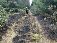 Discarded bottle suspected to have sparked fire in forest