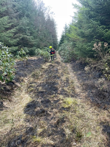 Fire at Haldon Forest
