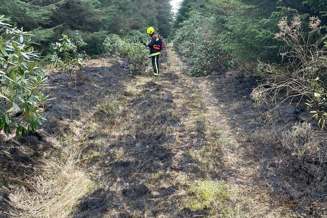 Fire at Haldon Forest