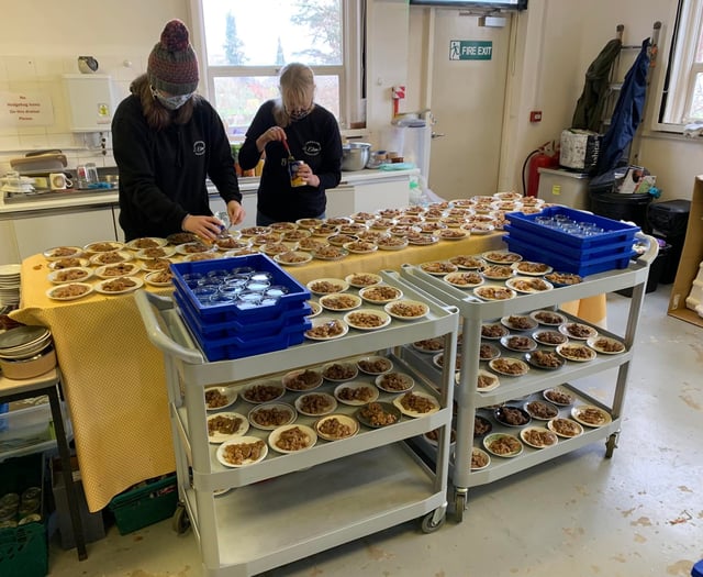 Hedgehog charity faces prickly future