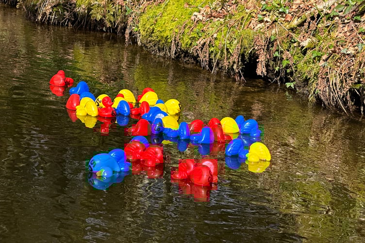 Widecombe Community Hall CIO duck race