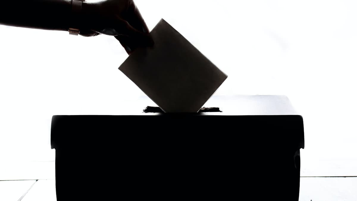 Who To Vote For In Teignbridge elections | middevonadvertiser.co.uk - Mid