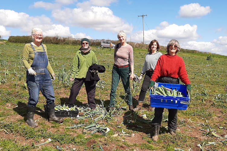 Gleaning group pick last of farmer Lloyd's leaks