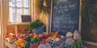Sample true taste of Dartmoor at local produce market