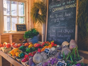 Sample true taste of Dartmoor at local produce market