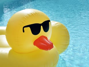 Volunteers sought for inflatable swimming sessions