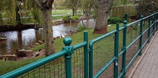 New railings to protect Dawlish waterfowl 