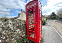 Telephone box transformed into bookworms' dream after library closure