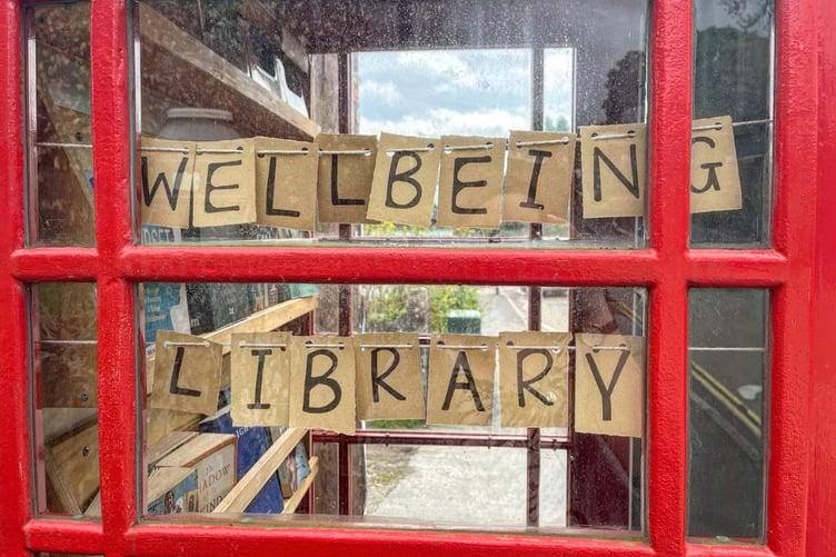 Moretonhampstead Phone-box Library