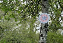 Number of Coronation signs removed 