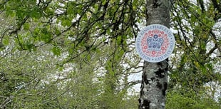 Number of Coronation signs removed 