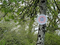 Number of Coronation signs removed 