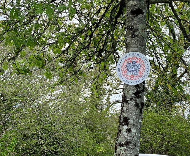 Number of Coronation signs removed 