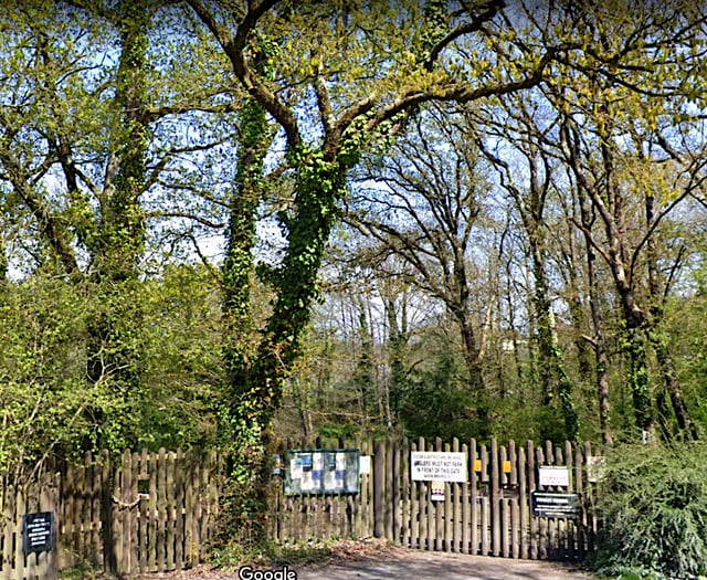 Dead dogs dumped in pond near Kingsteignton - RSPCA plea for help