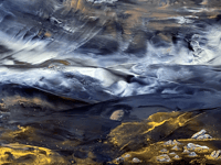 Waxing lyrical over art show