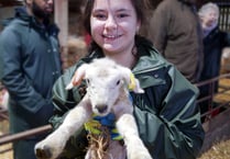 Event set to take Dartmoor to London
