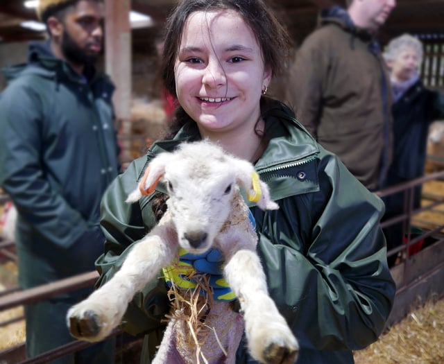 Event set to take Dartmoor to London