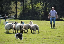 Sheepdog champion to give insight into his trade