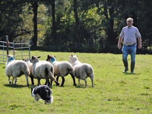 Sheepdog champion to give insight into his trade